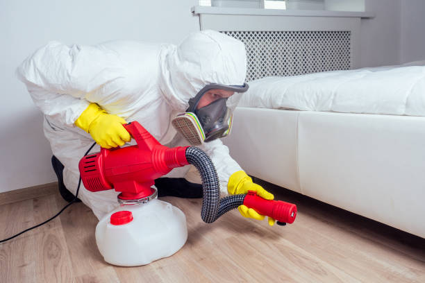 Best Residential Pest Control  in Tama, IA